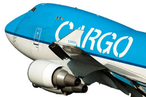 Cargo carrying jumbo jet